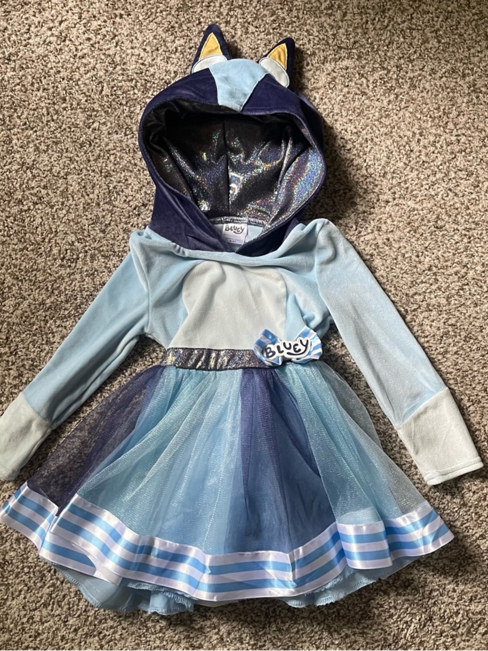 Bluey Girl costume